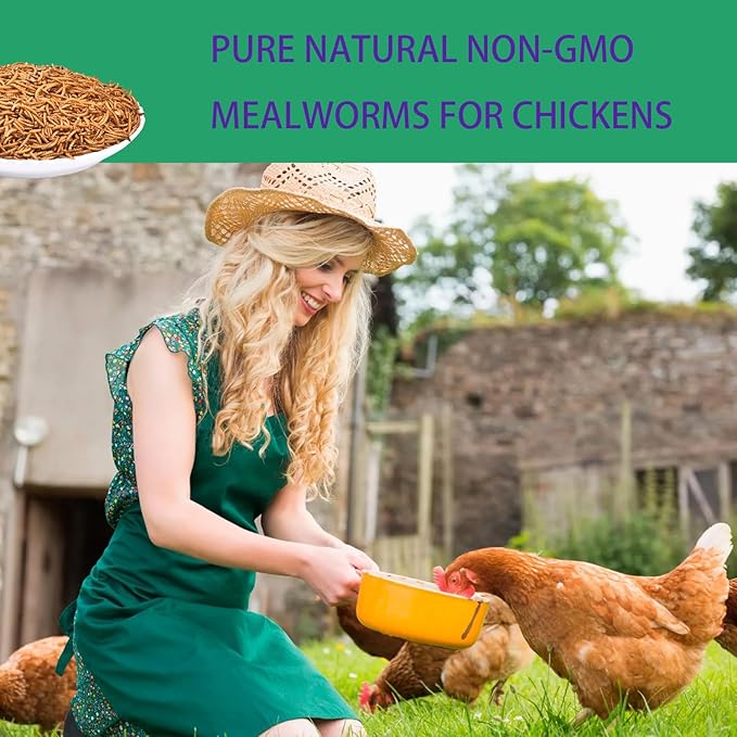 KAYHEN Dried Mealworms for Chickens 20LB Pure Natural Non-GMO High Protein Feed Meal Worms for Laying Hens Wild Birds