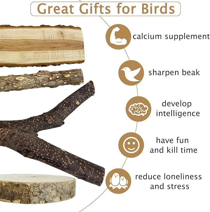 kathson Natural Bird Perches Wood Bird Flat Perch Parrot Swing Parakeet Platform Chew Toys Paw Grinding Stick Cage Accessories Exercise Toy for Cockatiels Budgies Lovebirds Conures Finches