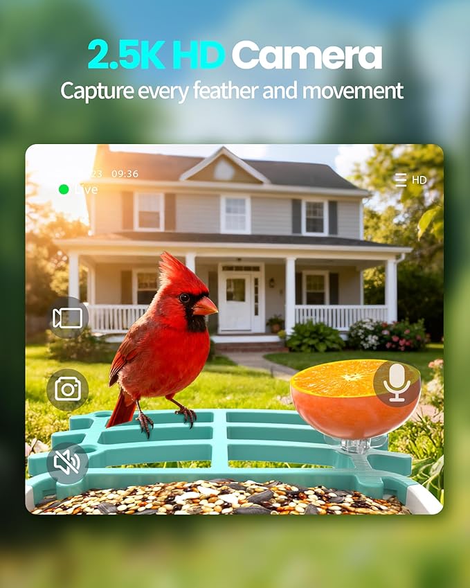 Smart Bird Feeder with Camera, AI Identifies 16,000+ Birds, Solar Powered, 2.5K HD, Auto Capture & Notify, Ideal Gift for Bird Lovers