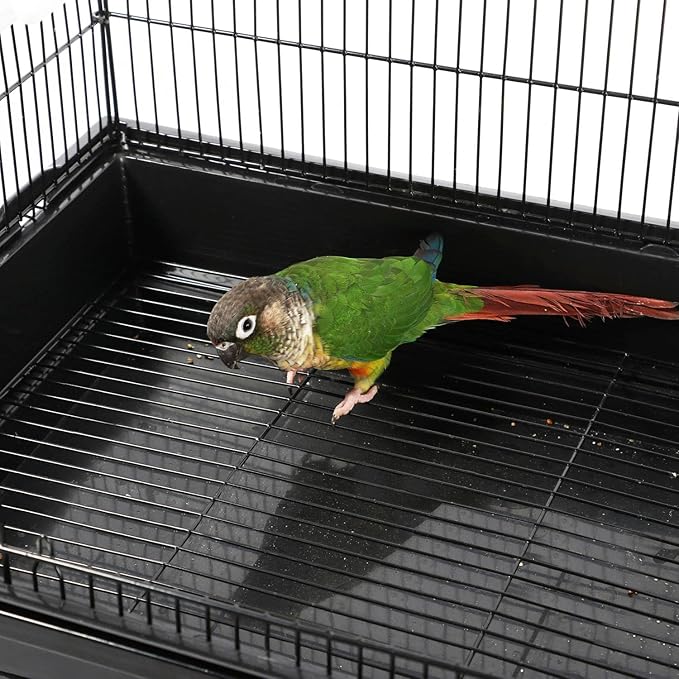 Topeakmart Open Play Top Bird Cage Parakeet Cage with Slide-Out Tray for Small Parrot Budgies Finches Canaries Lovebirds