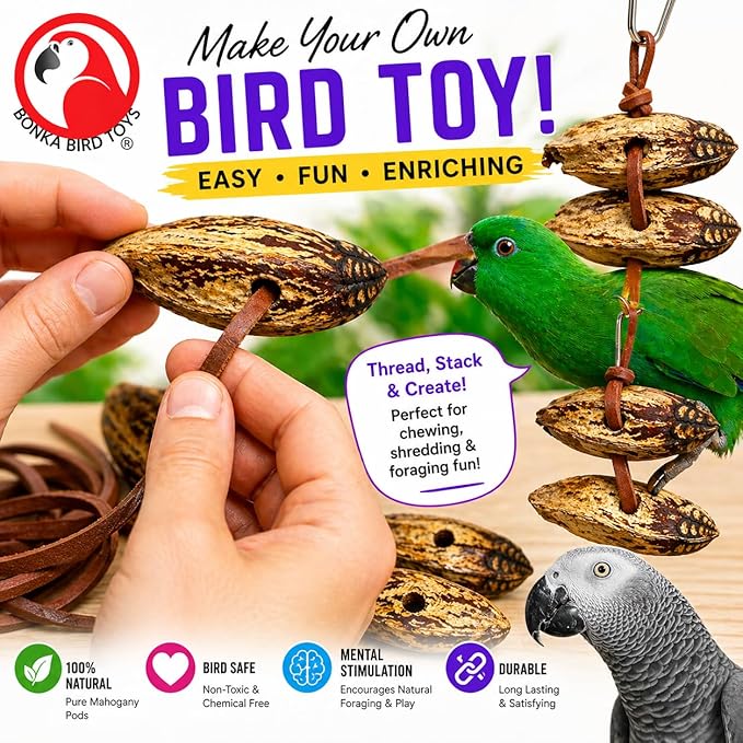Bonka Bird Toys 3410 Drilled Mahogany Pods Shreddable Foraging Bird Toy with Natural Materials Hanging Cage Toy 9" for Small to Medium Parrots Conure Cockatiel Budgie Chewing Enrichment (Pack of 6)