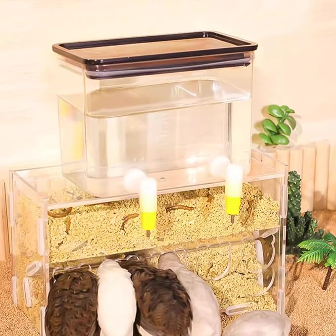 Baby Bird Button Quail Yellow Water Feeder with Double Nipple Drinker