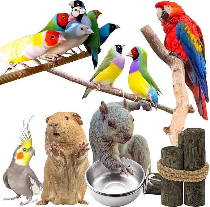 3 Pack Bird Feeding Bowls Cups Parrot Food Water Dishes, Stainless Steel Bird Bowl Cup Dish with Clamp, Birdcage Feeder Pet Cage Bowls for Cockatiel Budgie Conure Macaw Parakeet Small Animal