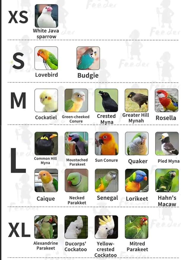Bird Costume Diaper Flight Suit Frog Shape Hoodie Clothes Cosplay Photo Prop for Parrots Parakeet Cockatiel Sun Conure, Small Animals Apparel (White Without Hat, Medium), Green,White