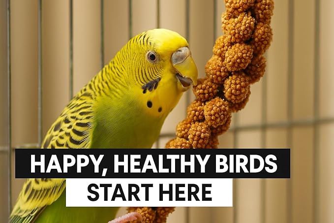 Birds LOVE French Kissed Spray Millet for Birds - Parakeets, Cockatiels, Lovebirds, Finches, Budgies, Canaries, Cockatoos - Natural & Healthy Bird Millet - Parakeet Food & Treats for all Parrots 25lbs