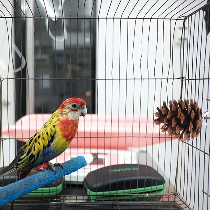 LIOOBO 10 Pcs Natural Pine Cones Bird Toys, Parrot Chew Toy for Cage, Wood Foraging Shredding Playthings Conure Cockatiel Parakeet African Grey Macaw Nut Fixed