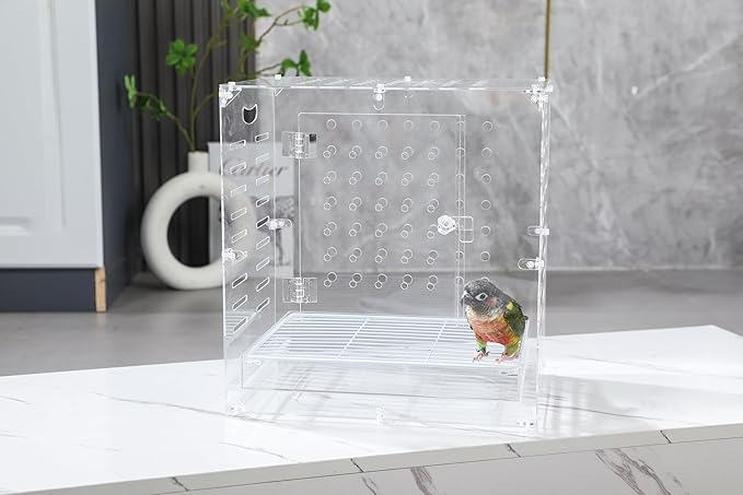 Clear Acrylic Bird Cage for Small Birds, Transparent Display Habitat for Canary, Parakeet - Easy to Clean & Assemble (9x12x15in)