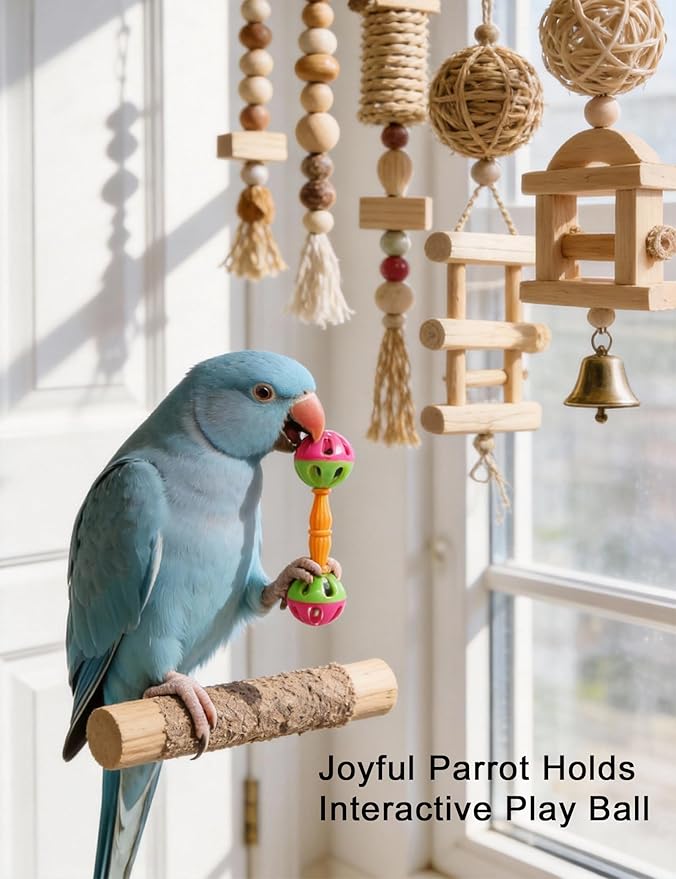 12 Pack Bird Toys Safe PP Plastic Foot Toys Rattle Balls for Parrots Lovebirds Conures Finches