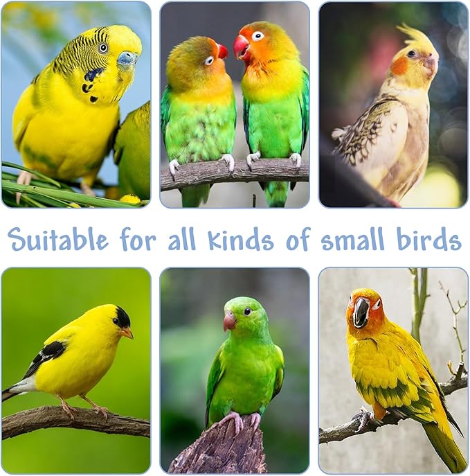 Hamiledyi Parrot Cage Perches Stand Pole Parakeet Paw Grinding Stick Colorful Wood Perch Platform for Parakeets Cockatiels Lovebirds Green Cheeked Conures (7.8in, 3pcs)