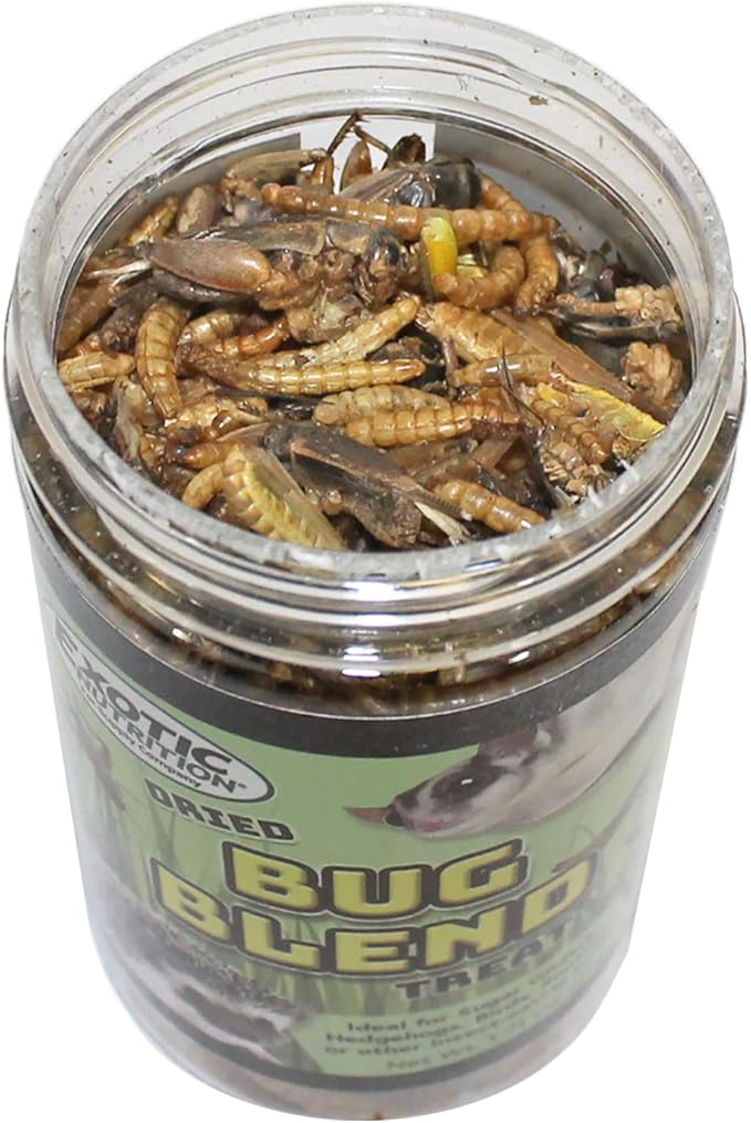 Bug Blend - Healthy High-Protein Dried Insect Treat - Crickets, Mealworms, Grasshoppers - Sugar Gliders, Hedgehogs, Squirrels, Chickens, Skunks, Opossums, Marmosets, Parrots, Birds (3.4 oz.)
