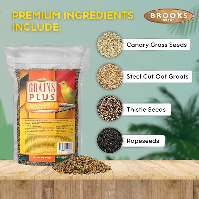 Brooks Brand Grains Plus Canary Blend, Canary Bird Food Seed, Seeds for Birds, Comida para Canarios, Alpiste para Pajaros (4 lbs)