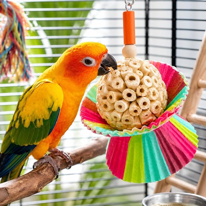 Bonka Bird Toys 1925 Cake Natural Sola Shred Forage Chew Treat Parrot Parrotlet Budgie Cockatiel Parakeets and Other Similar Birds