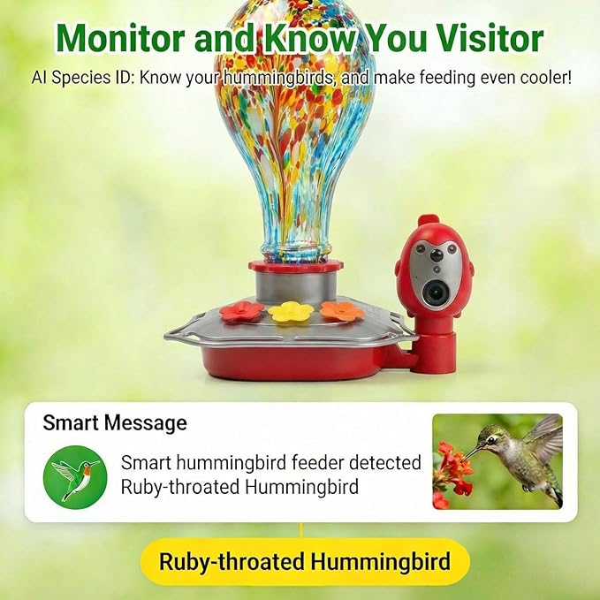 Hummingbird Feeder with Camera, Smart Glass Humming Bird Feeder Camera Solar Powered, AI Identify and Instant Notifications, 2K Live View, Leak-Proof Ant & Bee Proof