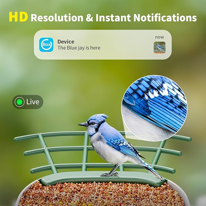 Bird Feeder with Camera, HD Birdwatching Camera with 1 Year Trial AI Identify, 4 DIY Add-ons, Smart Birds Cam with Solar Panel for Outdoor, Auto Record Videos, Gift for Bird Lover