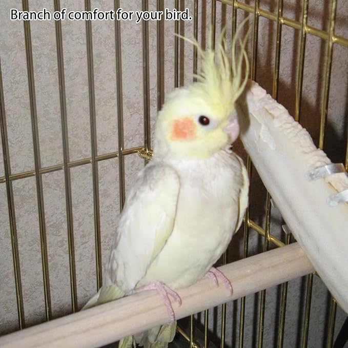 Bird Perches for Cage, Natural Wood Bird Perches Set of Five, Essential Foot Exercise and Health Maintenance for Small to Medium Birds, Multiple Lengths Include 10cm 15cm 20cm 25cm 30cm