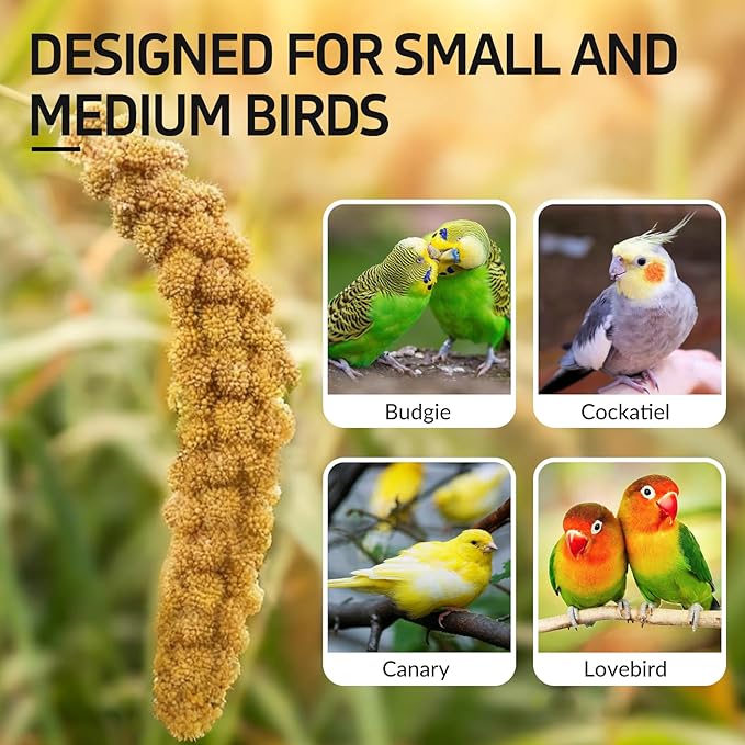 14 Oz Spray Millet Treat for Bird, for Parrot, Budgies, Parakeets, Cockatiels, Finches, Lovebirds, Canaries and Other Pet Birds