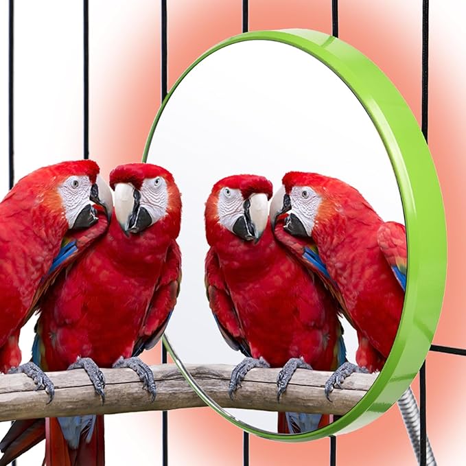Bird Heater for Cage Thermostatical Bird Warmer Heater Pad with Mirror for Parakeets Parrot,4.7" Round,12V