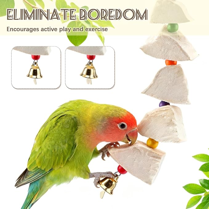 2 Pack Bird Cuttlebone Chew Toys, Natural Cuttlefish Bone for Birds Beak Grinding & Calcium Supplement, Hanging Cage Accessories for Small Medium Birds (2, Chunky Blocks)