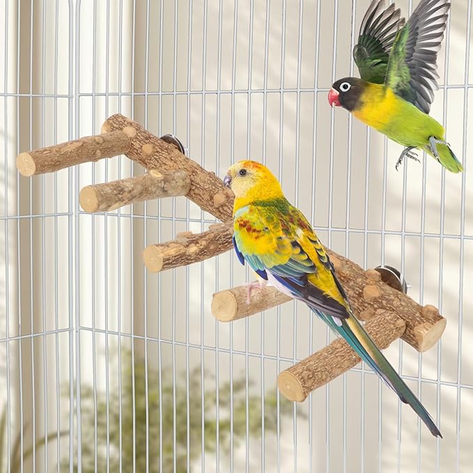 Hypeety Bird Ladder Perch for Cage Natural Wood Bird Bridge Climbing Chewable Toys Parrot Exercise Ladder for Cockatiels Parakeets Small Birds to Play Stand and Climb