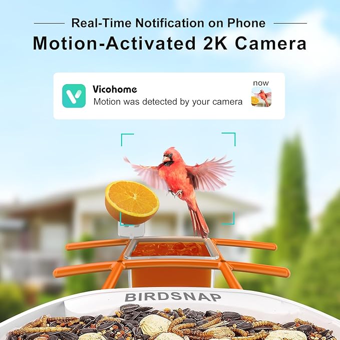 birdsnap® TUC Bird Feeder with Camera 2K HD Live with 32GB Card Auto Detect & Notify AI Identify Camera Birds Feeders Solar Powered Wireless Outdoors Backyard Gift for Mom Dad Birds Lover, 2.4G WiFi
