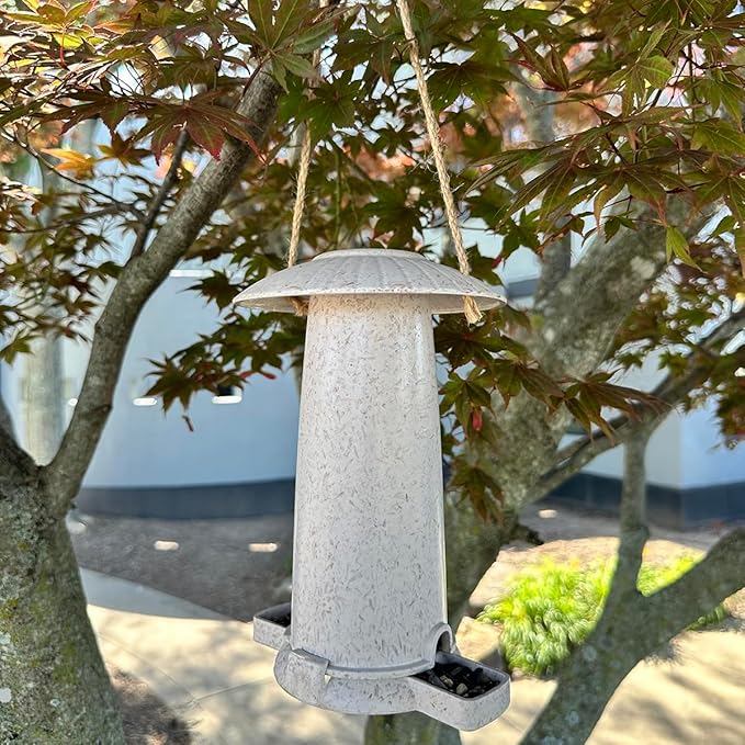 Seed Feeder - Chaff - Sustainable