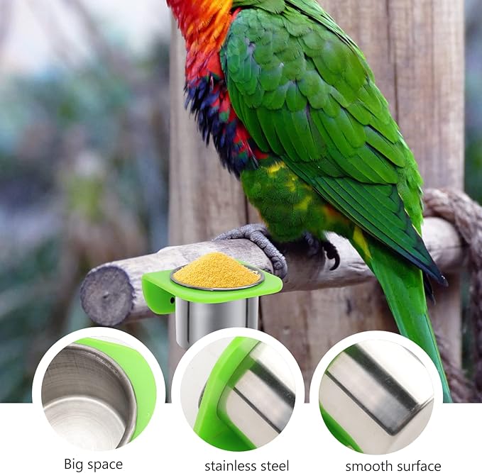 Practical Parrot Food Box Feeding Cups Eco-Friendly No Harmful Easy to Maintain Use