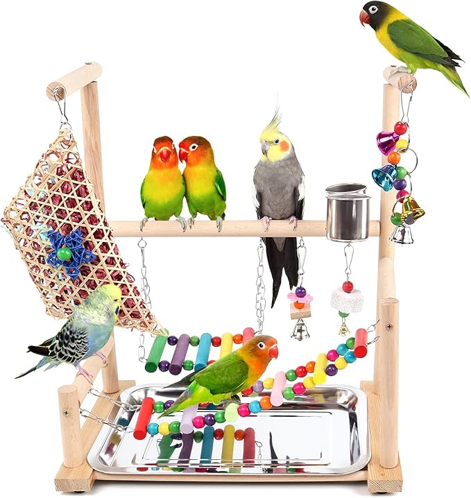 Bird Playground, Playstand for Parrot Cage Accessories (A Ladder with chew Toy)