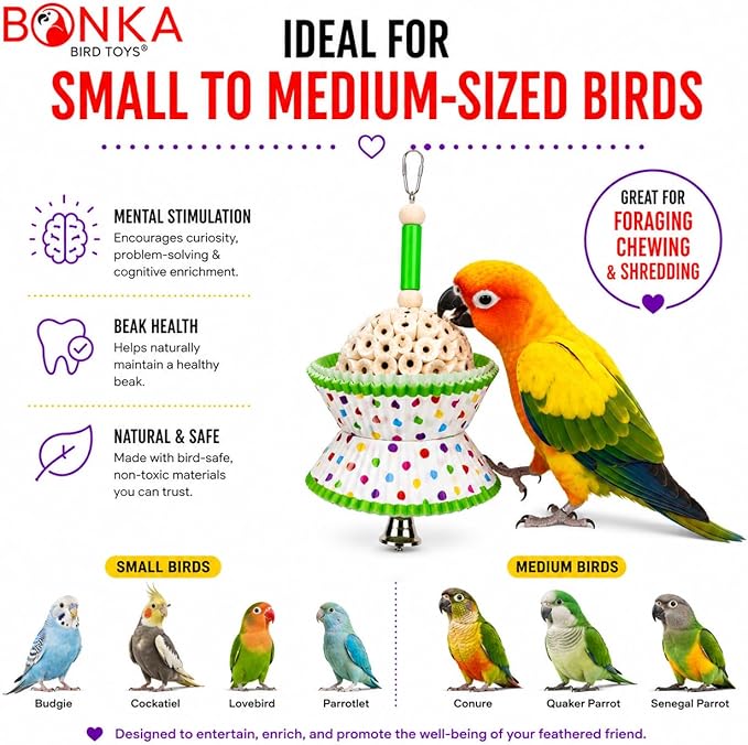 Bonka Bird Toys 1925 Cake Natural Sola Shred Forage Chew Treat Parrot Parrotlet Budgie Cockatiel Parakeets and Other Similar Birds