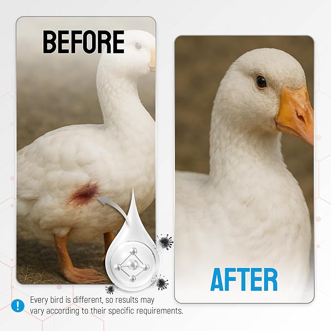 SILVER GRADE Wound Spray for Chicken – Birds & Chicken Antibiotics Alternative to Help with Pecking Sores, Bumblefoot, Cuts – Poultry Spray with Silver – GMOs Free – 4-Oz Bottle