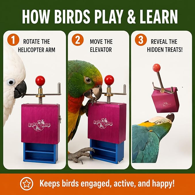 Bird Toys for Large Birds (Ele-Waiter) | Treat Dispenser | Foraging Bird Toys for Parrots, Cockatiel, Cockatoos & Macaws | Durable Cage Accessories for Medium to Extra Large Birds | Macaw Enrichment