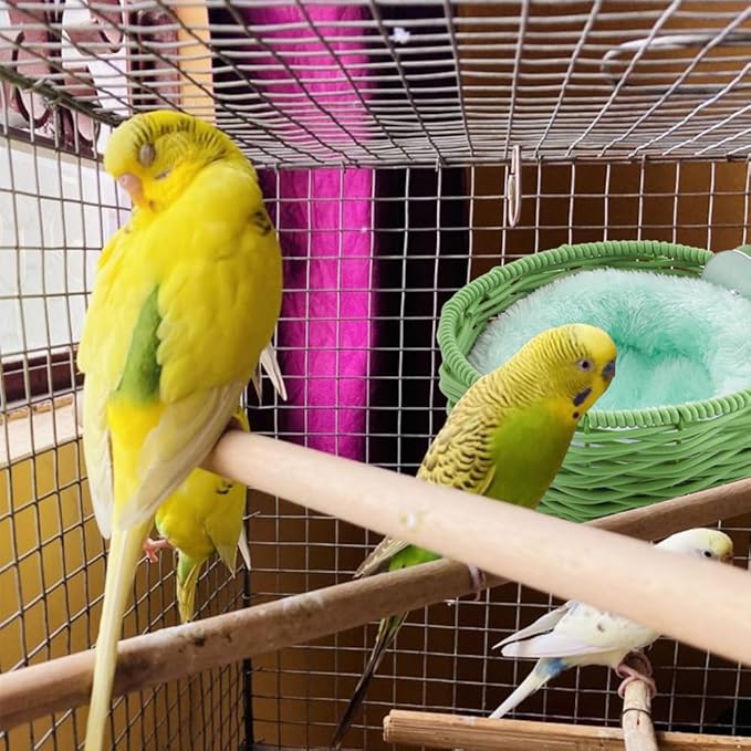 VTurboWay 1 Pack Bird Rattan Nest with 1 Pcs Nest Mat Egg Laying Bed Breeding House for Parrot Lovebird Cockatiel Budgerigar Finch Canary (Green)