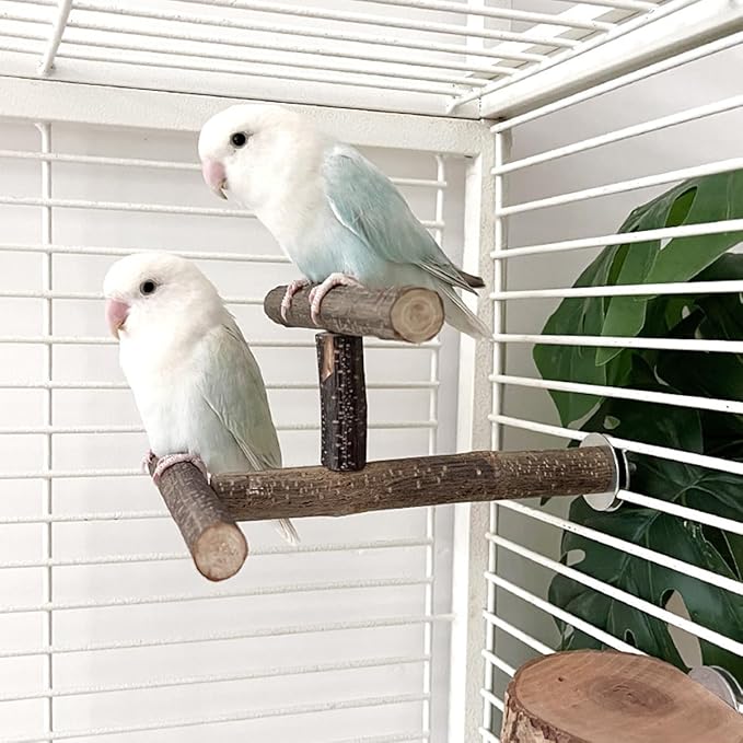 Natural Wood Bird Perches for Cage, Parrot Cage Perch Stand, Cage Accessories, Wooden Platform for Birds, Toys for Parakeets, Cockatiel, Budgie, Conure