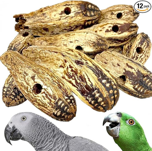 Bonka Bird Toys 3410 Drilled Mahogany Pods Shreddable Foraging Bird Toy with Natural Materials Hanging Cage Toy 9" for Small to Medium Parrots Budgie Cockatiel Conure Chewing Enrichment (Pack of 12)