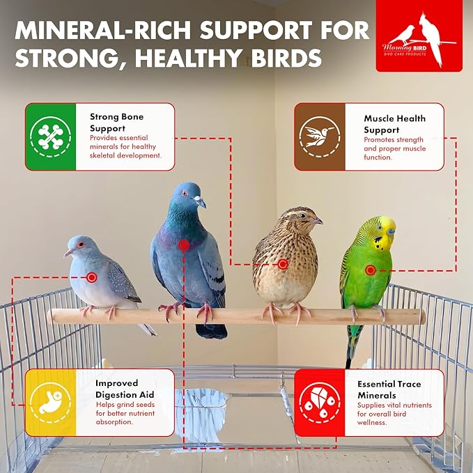 Morning Bird Pigeon Grit - Healthy & Nutritious Pigeon Food to Support Strong Muscles & Bones for Grit Eating Birds - Supports Digestion & Packed with Essential Minerals 4.5 lbs (3-Pack, 1.5 lbs Each)