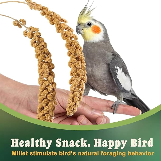 RANZ 5LBS Spray Millet Treat for Pet Birds, Hand-Harvested Bird Snack, Natural Sun-Dried Millet Spray for Parakeets, Parrots, Cockatiels, Lovebirds, Budgies, Finches, Canaries