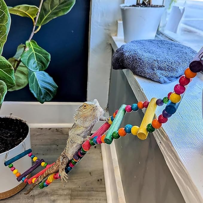 DS. DISTINCTIVE STYLE Bird Ladder Toys Coloured Flexible Parrot Swing Bridge Wooden Cockatiel Cage Hanging Climbing Ladder