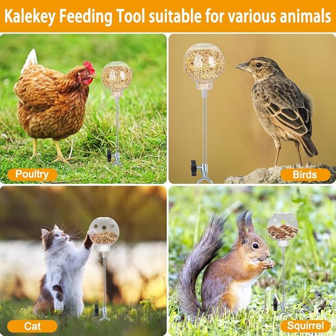 Kalekey 4 Pack Chicken Feeding Toy, Chicken Enrichment Toys with Spring and 11" Metal Ground Stake, Chicken Treat Dispenser Peck Toy Boredom Busters for Hens, Ducks, and Parrots