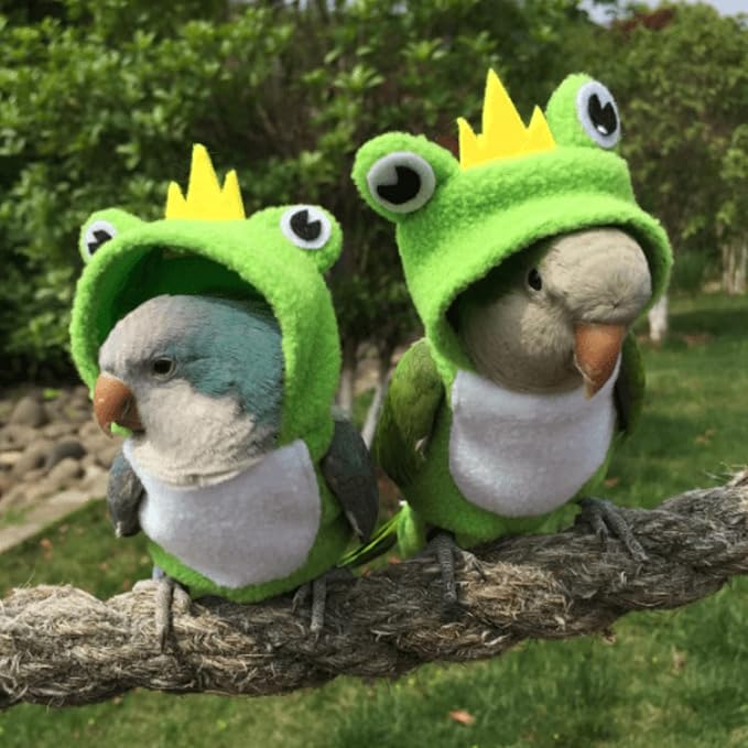 Bird Diaper Flight Suit Frog Shape Hoodie - Bird Clothes Cosplay Photo Prop for Parrots, Parakeet, Cockatiel & Sun Conure - Green with Diaper, Small