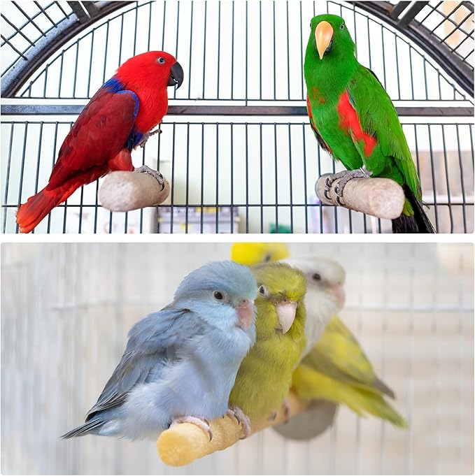 PATIKIL 1x12 Bird Paw Grinding Stick, Bird Wood Perch Stand Cage Accessory for Small Bird Parrot Lovebird Parakeet Cockatiel, Blue