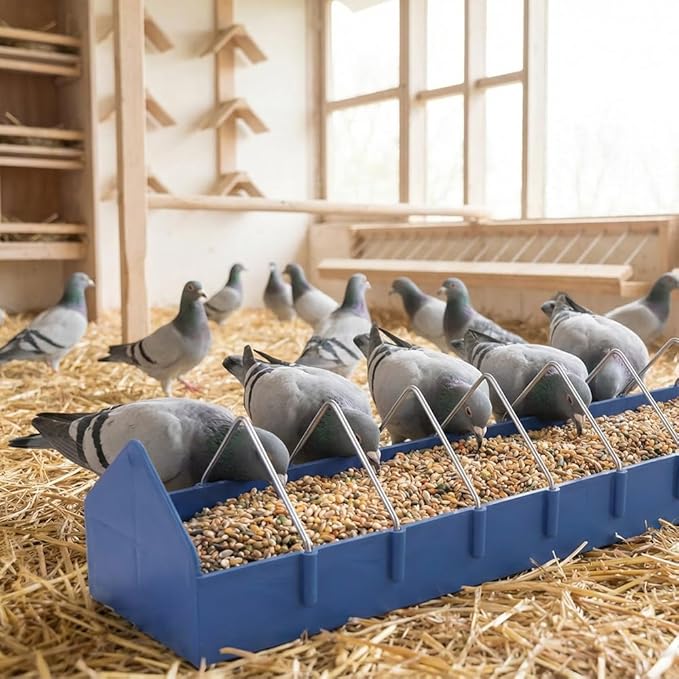 2 Pack Large Pigeon Feeder 11 Slot Thick Durable Container Feeding Dish Food Dispenser with Removable Steel Wires for Pigeon Chicken Duck Bird Parrot Poultry