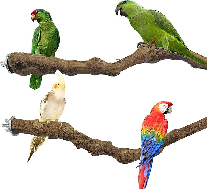 2 PCS Natural Grape Stick Fork Bird Perch Bird Standing Stick Chewing Bird Toys Natural Grapevine Bird Cage Perch for Parrot Cages Toy for Cockatiels, Parakeets, Finches