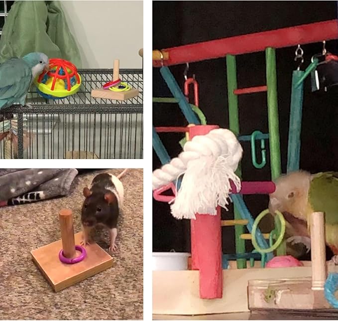 QBLEEV Bird Training Ring Toy, Parrot Trick Tabletop Toys, Educational Stacking Color Rings, Cage Toys