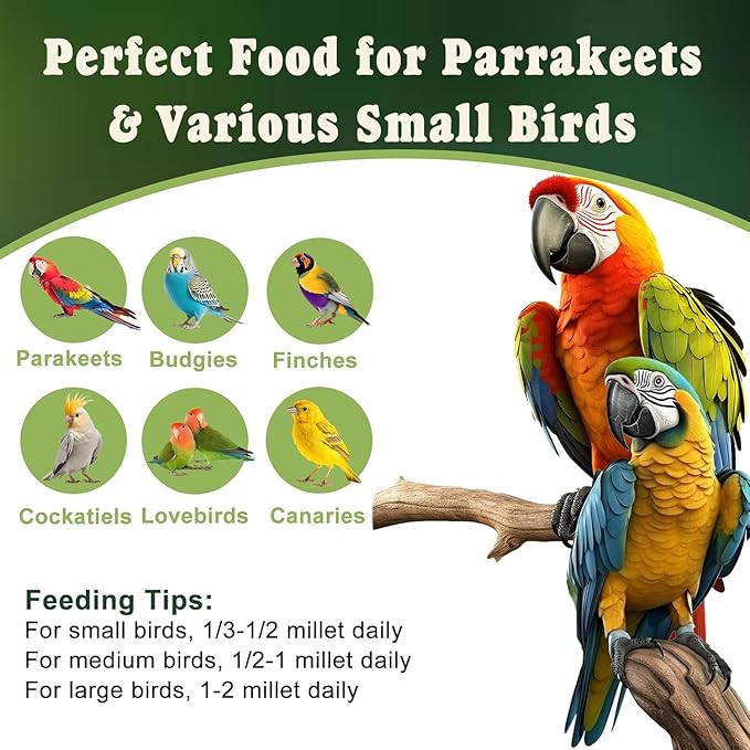 RANZ 5LBS Spray Millet Treat for Pet Birds, Hand-Harvested Bird Snack, Natural Sun-Dried Millet Spray for Parakeets, Parrots, Cockatiels, Lovebirds, Budgies, Finches, Canaries