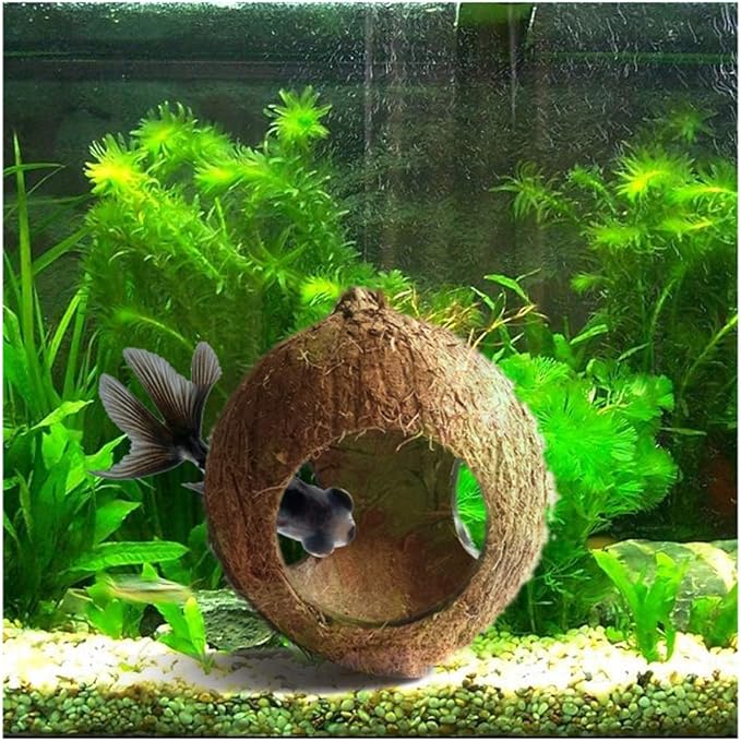 Aquarium Decor Fish Tank Three Hole Coconut Shell Dodge Hole Fish Cave Hole Shelter House Shrimp Nest/Bird's Nest (Rough-3 Big Holes)