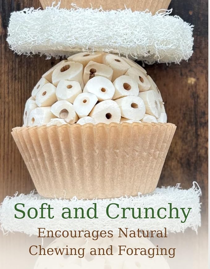 Shred & Destroy Natural Bird Toy - Double Texture Soft & Crunchy - Sola Ball and Loofah Plant - Medium Birds - Cockatiels, Conures - 2 Pack