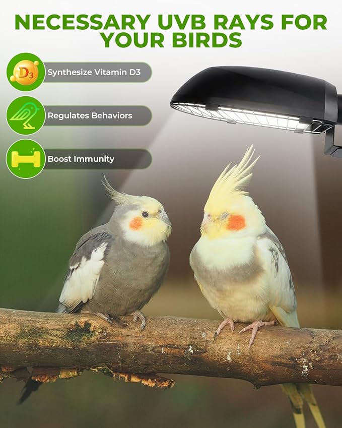 GlowUp UVB 2.4 Bird Cage Light Combo Kit, 20W UVB Bird Light Bulb, Deep U-Shaped Lamp Fixture with Compact Fluorescent Bulb E26 for Captive Birds, Reptiles