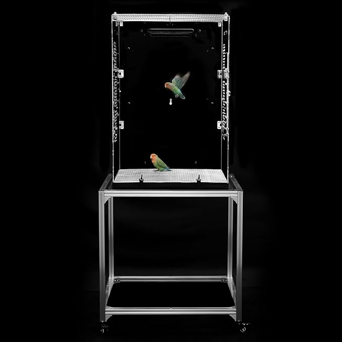 GuineaLoft™ Model-ET223 Acrylic Bird Cage – 2×2×3 ft Mid-Sized Tall Cage, Crystal Clear, Stainless Steel Mesh Top & Bottom, Dual Side Doors, Reusable Canvas Bottom – Visit the GuineaLoft Store