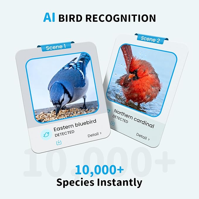 Bird Feeder with Camera and Bath, Dual-Lens 2K HD Video, AI Bird Identification, Solar Powered, Instant Alerts, IP66 Weatherproof