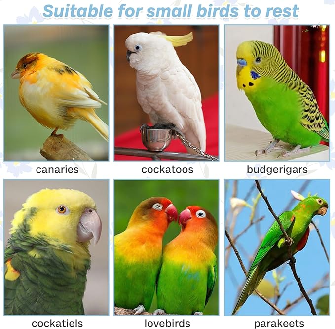 PIVBY Bird Perches for Cage Colorful Parrot Stand Toy Platform Paw Grinding Stick for Small Medium-Sized Bird Parakeet Cockatiel Conure Budgies Lovebird Canary Colors Vary Pack of 3