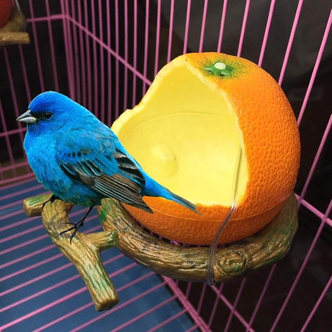 POPETPOP Birds Feeder Bowl-Parakeet Food Dish Orange Shaped Birds Feeder Cup for Small Parrots, Cockatiels,Conure and Hamster Small Animal Drinking Water Container